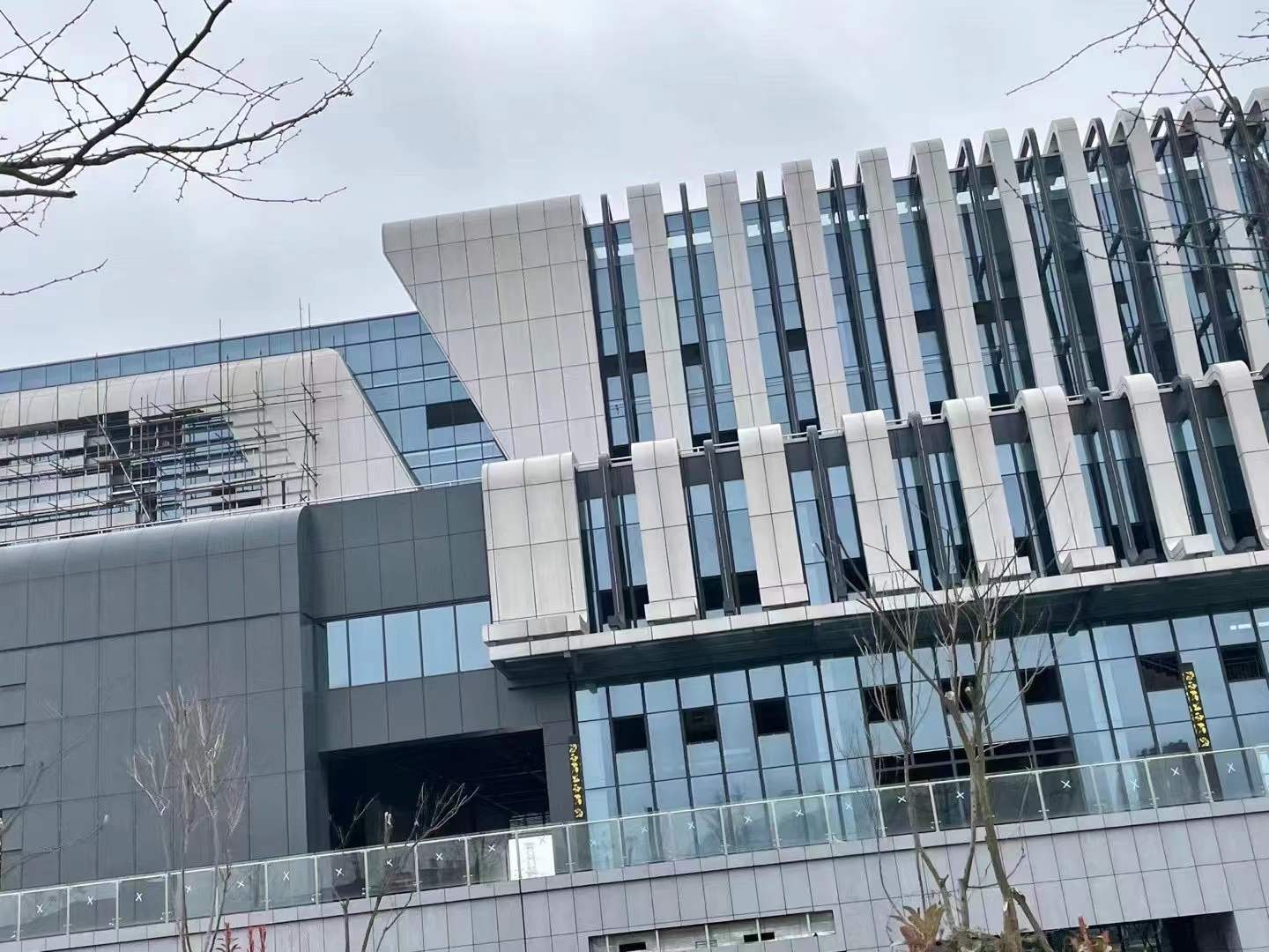 体育中心体育场